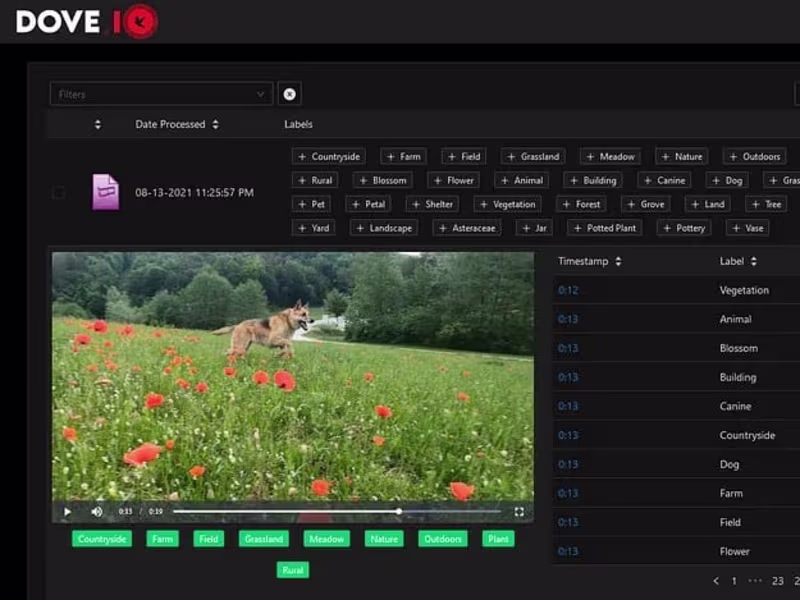 Cover image for DIY Dog-Seeking IoT Edge Computing Platform