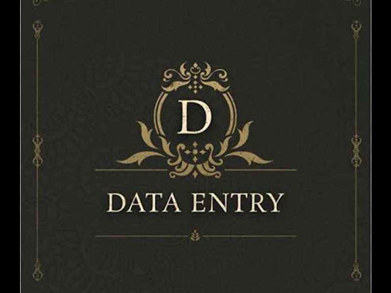 Cover image for Data Entry Using Microsoft Excel and Google Sheet