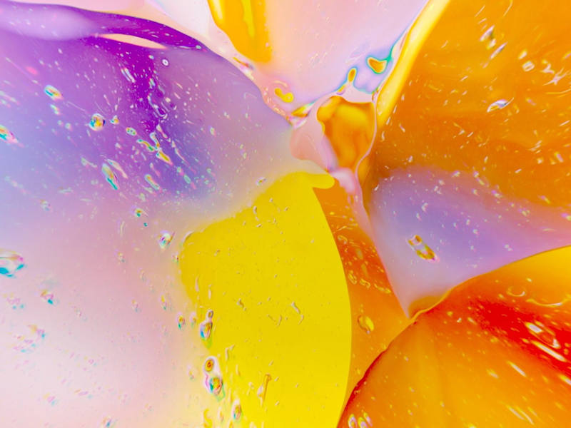 Cover image for Wunderman Thompson: Service Showcase Video