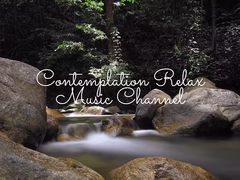 Cover image for Social Media Marketing Campaign for YouTube Channel