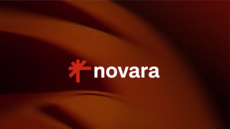Cover image for Novara Logo and Brand Identity Guideline 