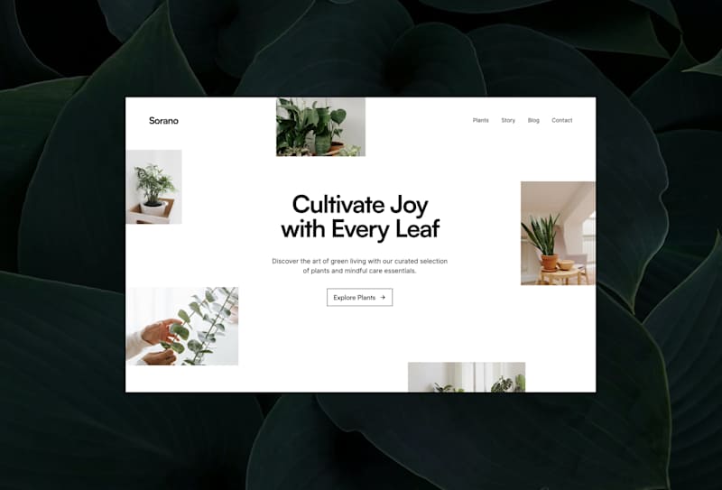 Cover image for Sorano - E-Commerce Framer Website