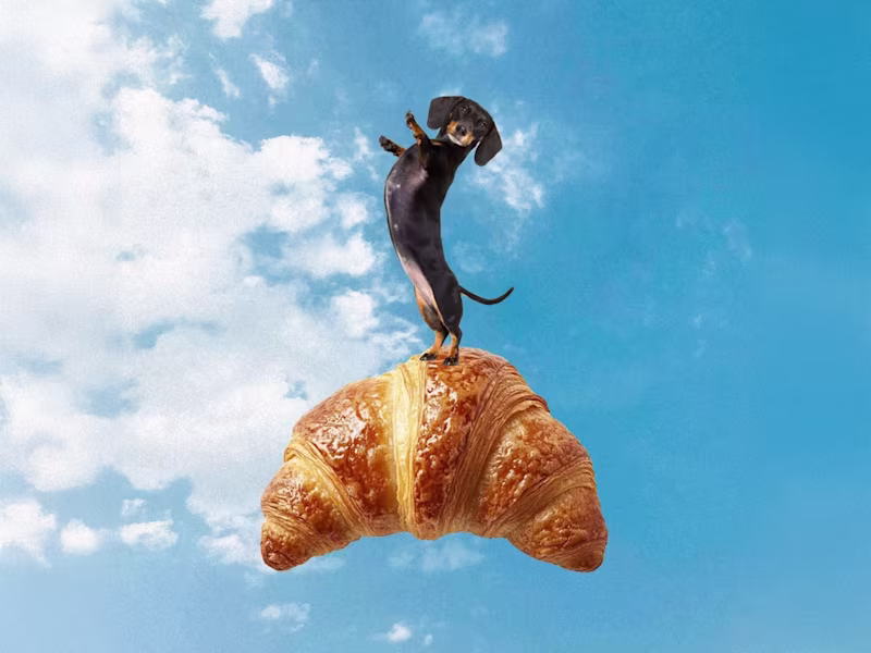 Cover image for Visual Collage Design