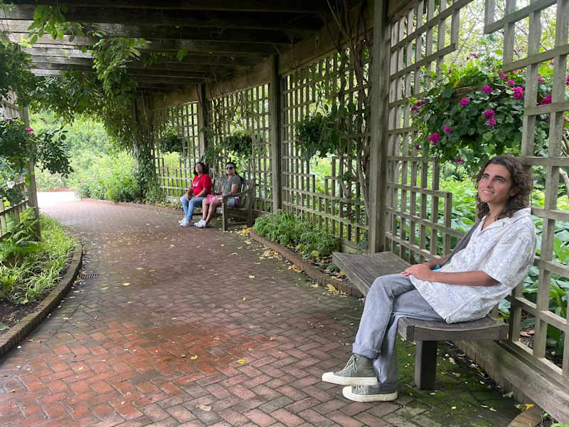 Cover image for Creative Writer: Poetry, Songwriting, Speech & Storytelling