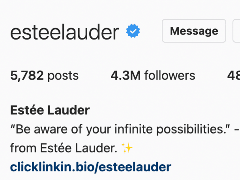 Cover image for Estee Lauder Instagram