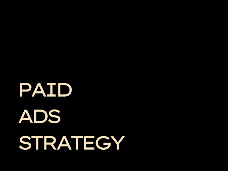 Cover image for PAID ADS STRATEGY