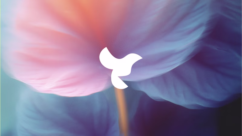 Cover image for Waca