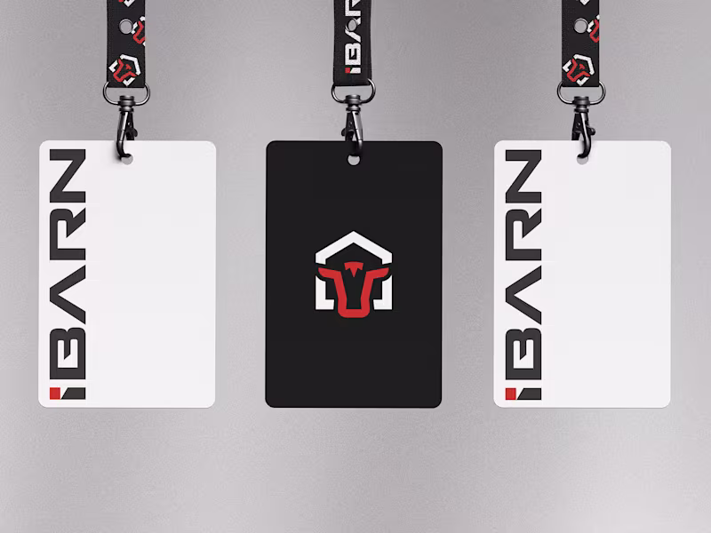 Cover image for IBARN