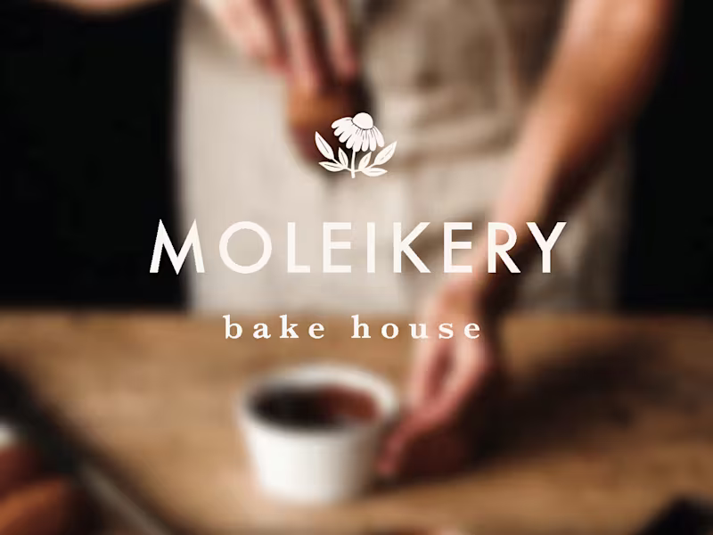 Cover image for Visual Identity Design | Logo + Branding 