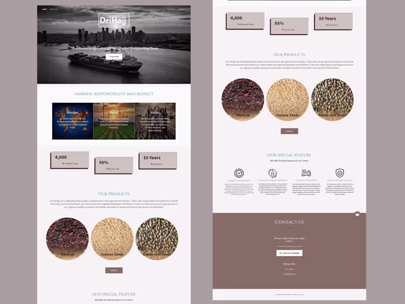 Cover image for Website Design Solutions