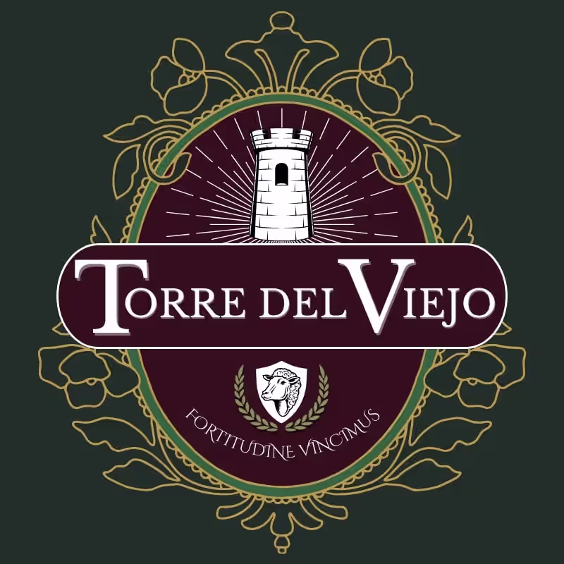 Cover image for Torre Del Viejo: Logo Design and Brand Kit
