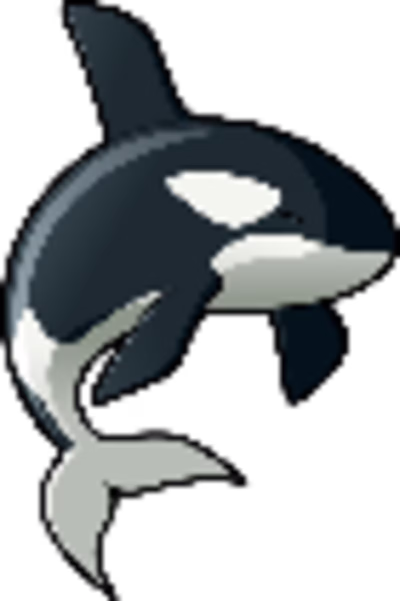 Cover image for A framer template creation for you