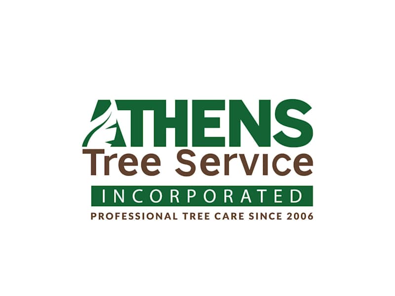 Cover image for Athens Tree