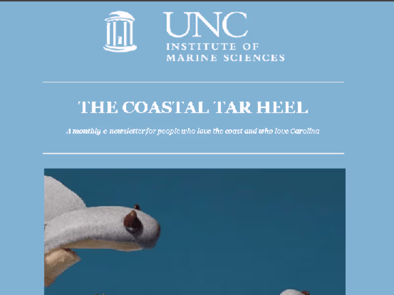 Cover image for The Coastal Tar Heel -- Issue: October 2021