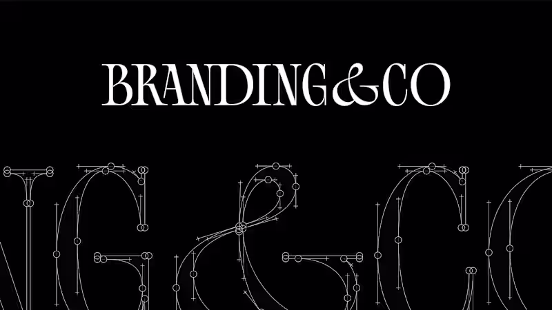 Cover image for Branding & Co. Identity Redesign