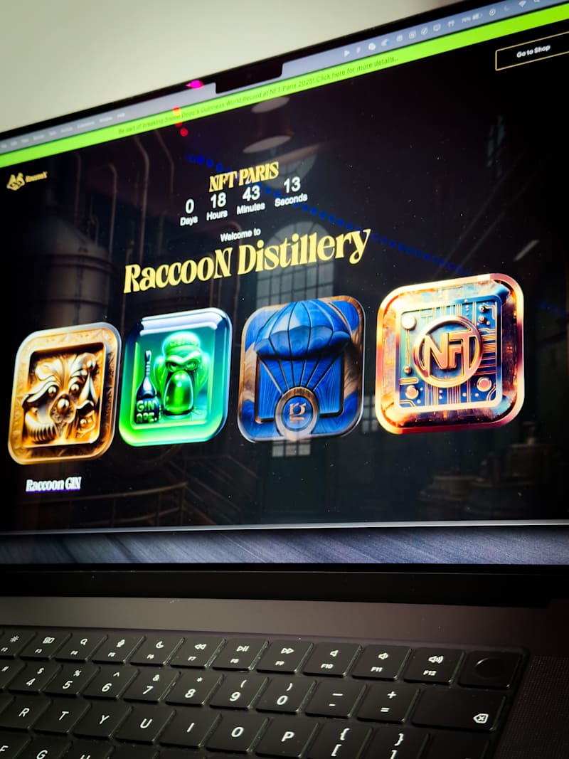 Cover image for Raccoon GIN - WEB3 project