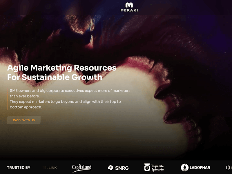 Cover image for Meraki group - Digital marketing website
