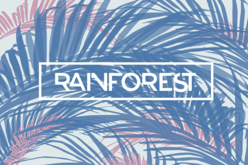Cover image for Designer