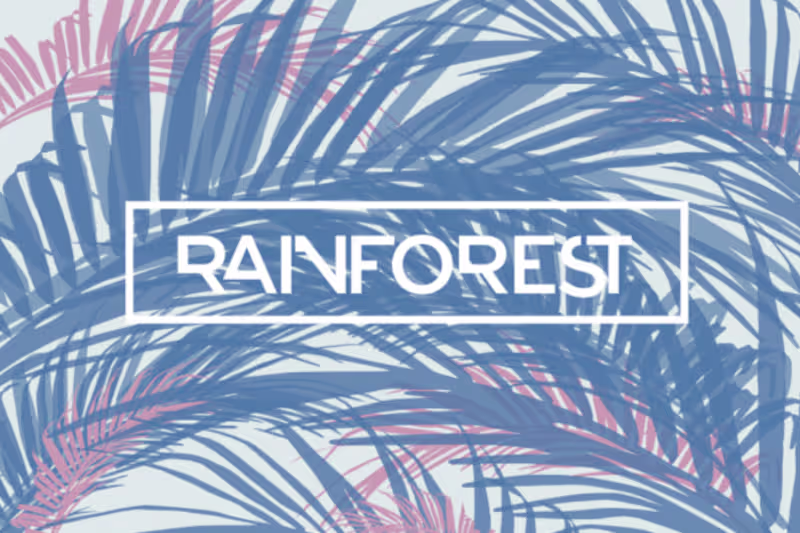 Cover image for Designer