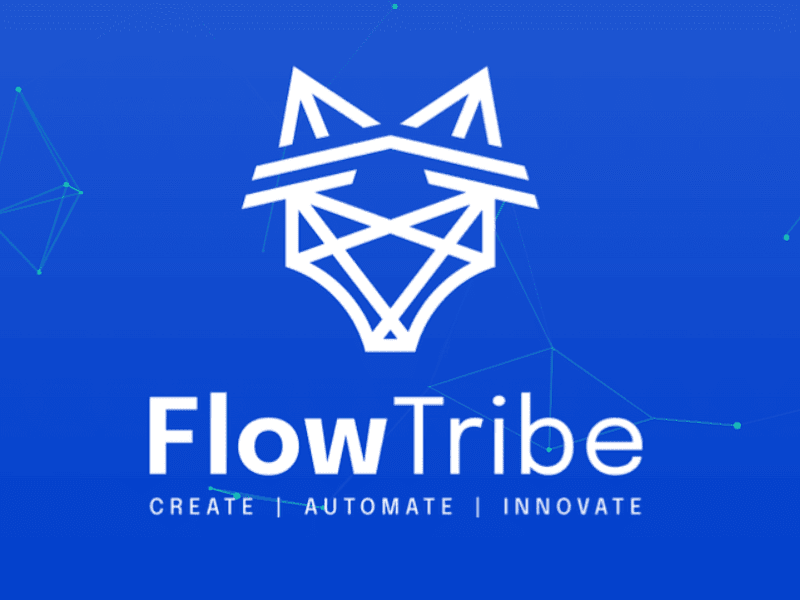 Cover image for Flowtribe