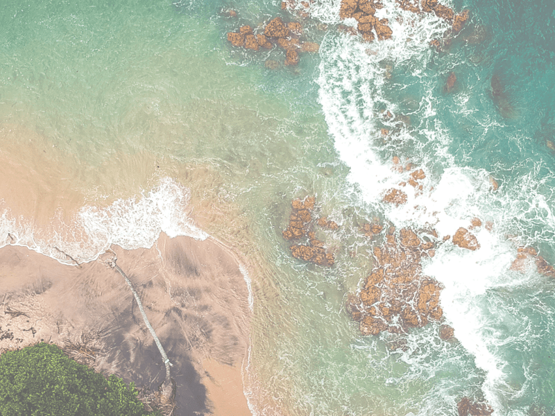 Cover image for Newcastle NSW Guide - Article