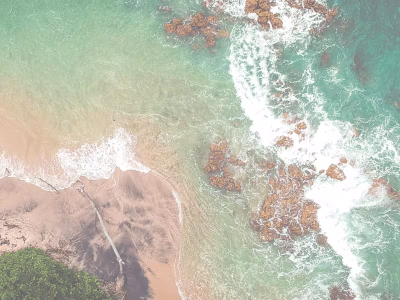 Cover image for Newcastle NSW Guide - Article