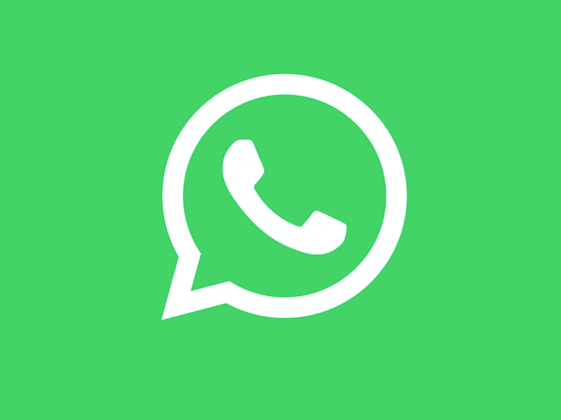 Cover image for WhatsApp Chatbot with AI (trained on your business data)