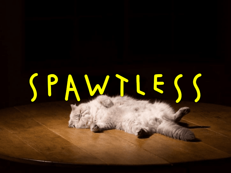 Cover image for Spawtless