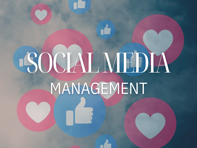 Cover image for Social Media Management