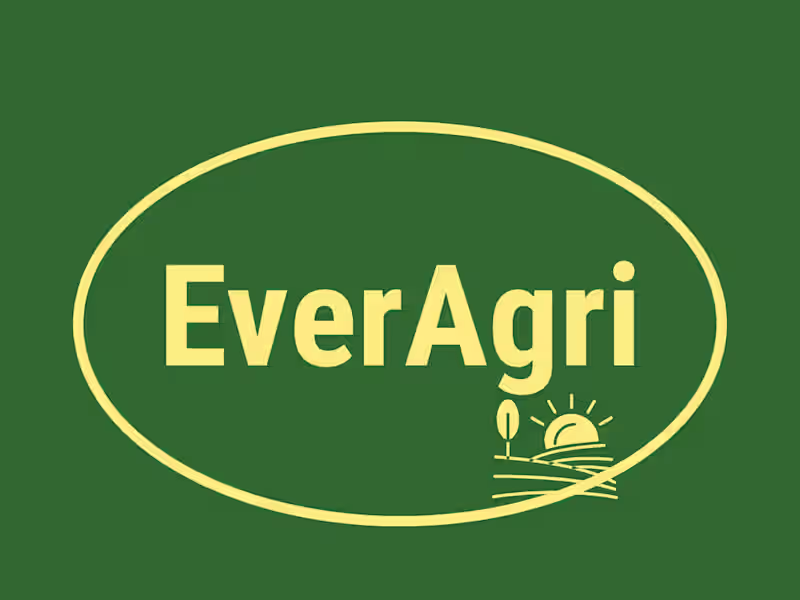 Cover image for Elevate Your Brand with Exceptional logo design .