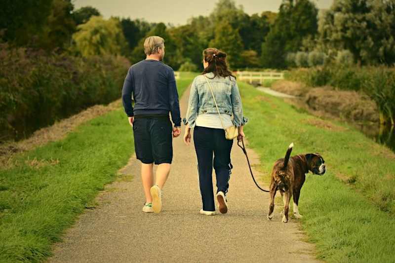 Cover image for Optimal Daily Steps Study