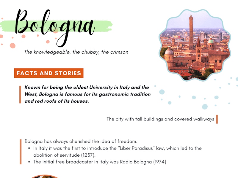 Cover image for Travel Organization