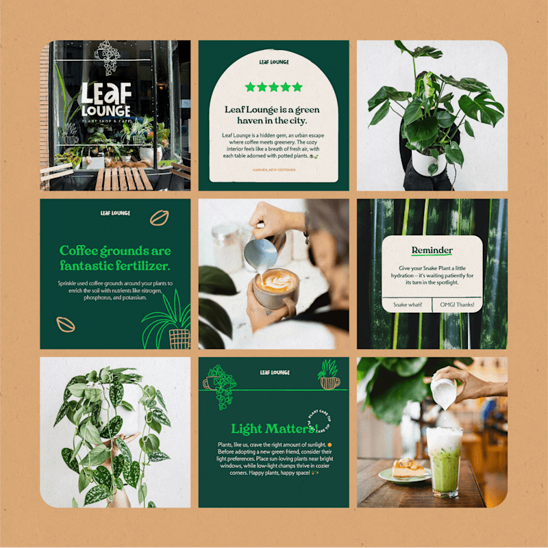 Cover image for Leaf Lounge