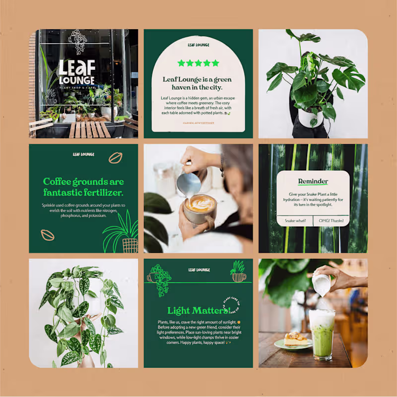 Cover image for Leaf Lounge