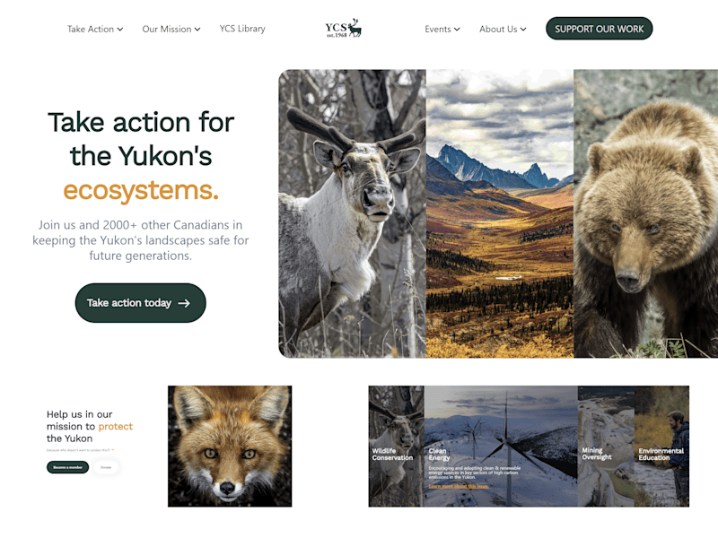 Cover image for Yukon Conservation Society