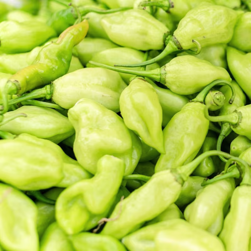 Cover image for Executive & Leadership Writing