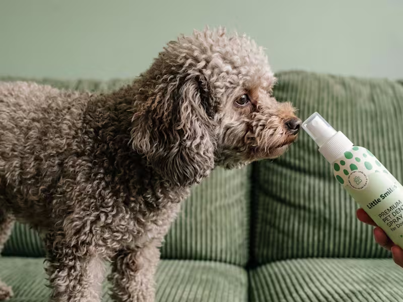 Cover image for Little Smiles Pet Dental Spray
