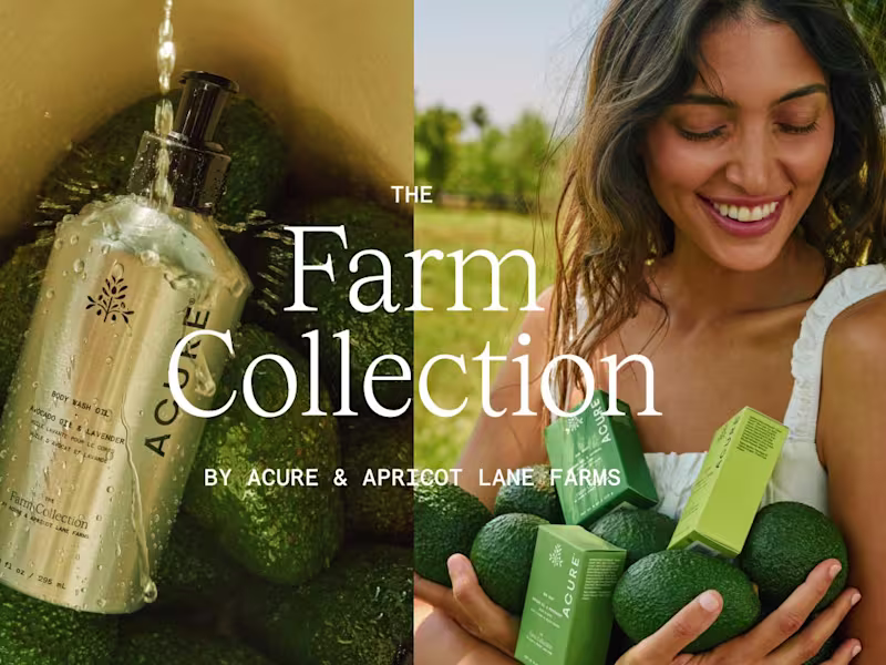 Cover image for Creative Project Manager