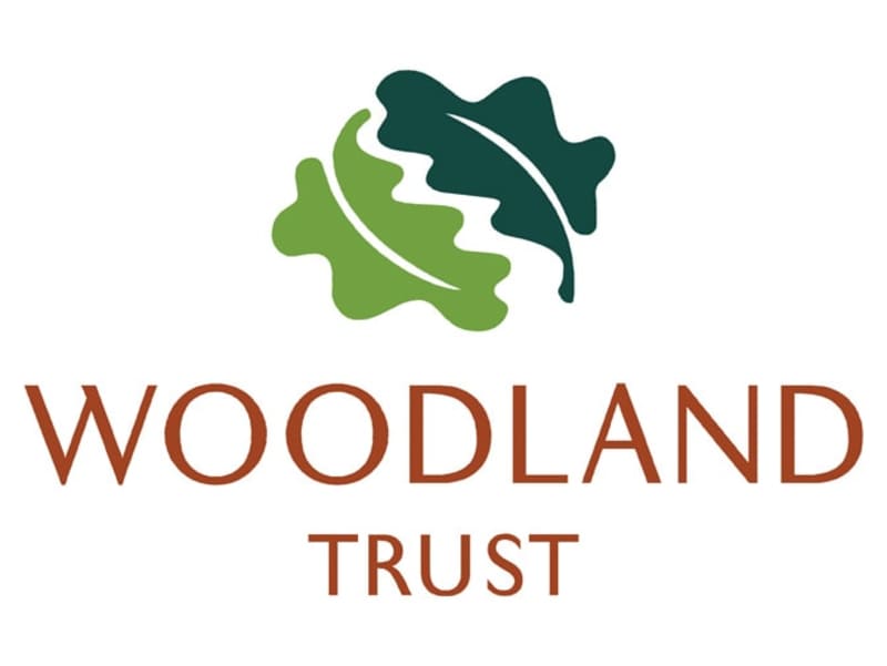 Cover image for Woodland Trust: Annual Review