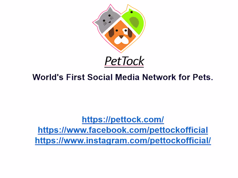 Cover image for Designed a Pitch Deck for Pettock, a Social Platform for Pets