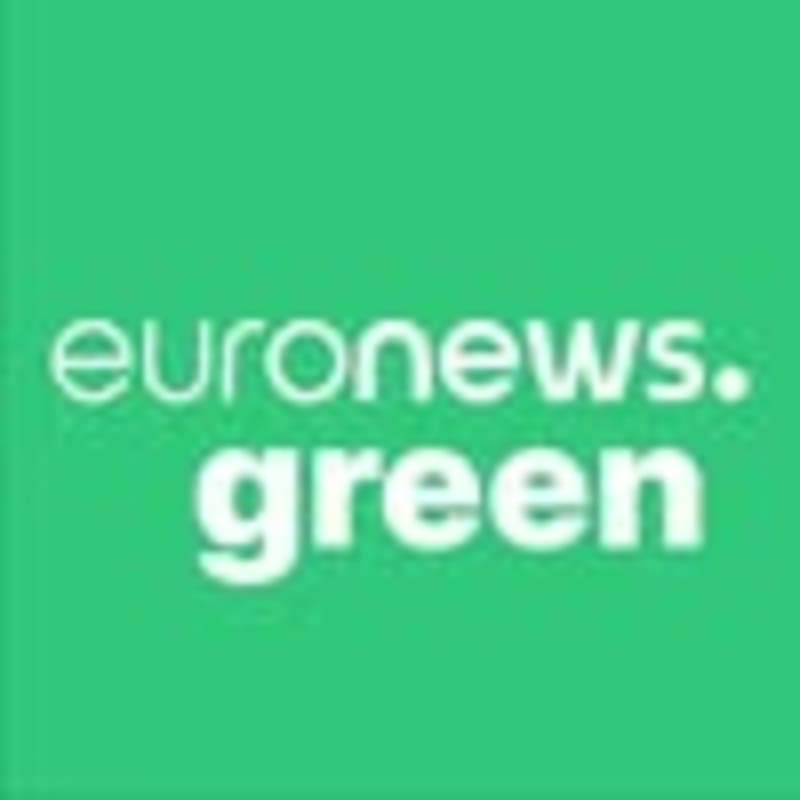 Cover image for Euronews Green (@euronewsgreen) Social Media Content Strategist