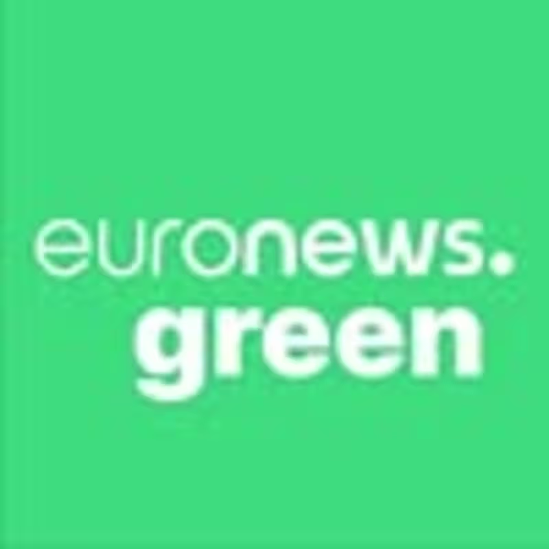 Cover image for Euronews Green (@euronewsgreen) Social Media Content Strategist