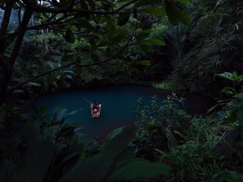 Cover image for Green Ara