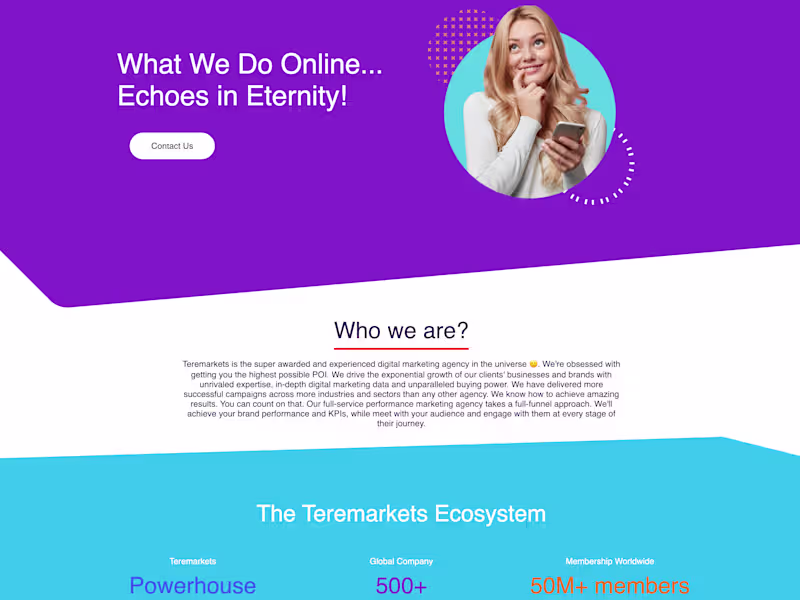 Cover image for Teremarkets