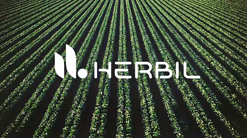 Cover image for Herbil - Identidade Visual