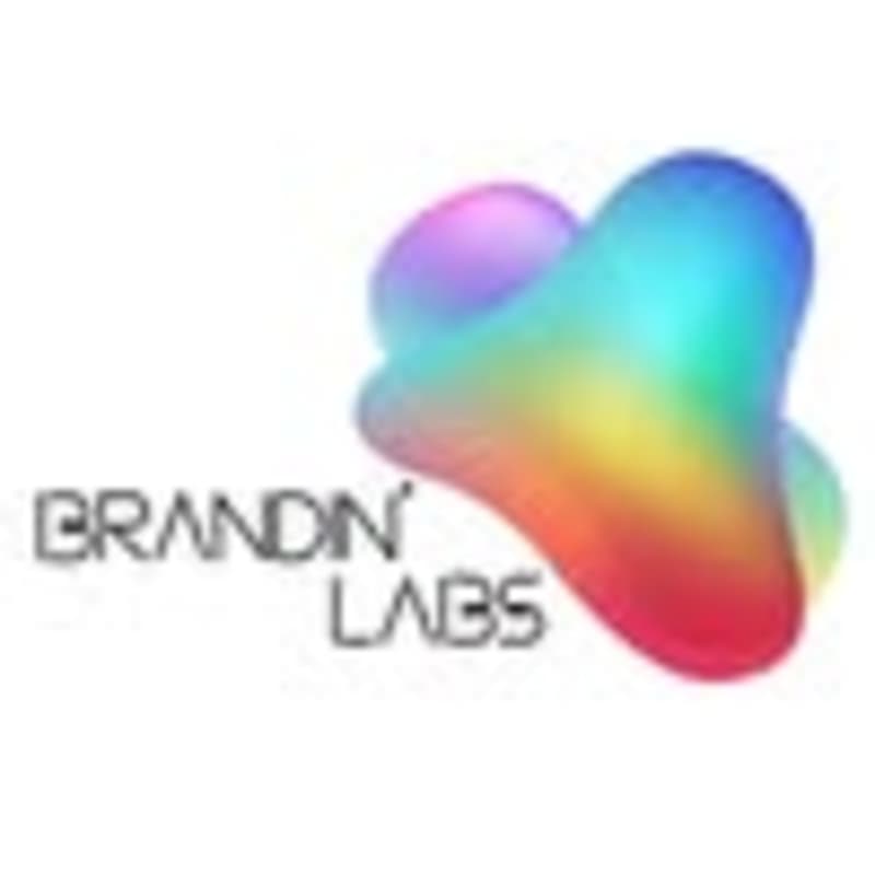 Cover image for Brandin’ Labs