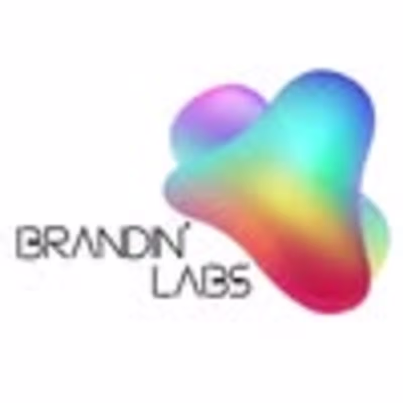 Cover image for Brandin’ Labs