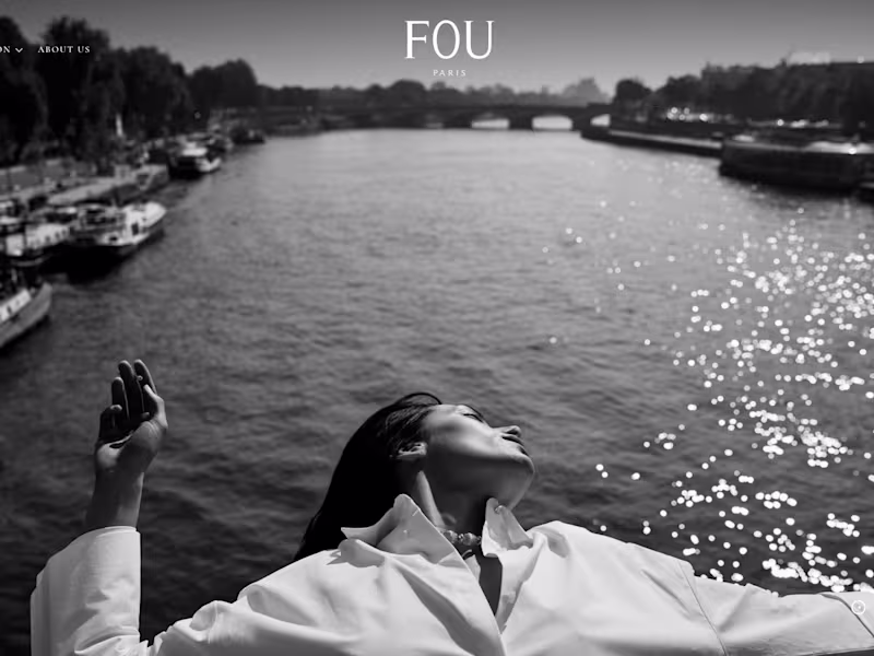 Cover image for Fou Paris