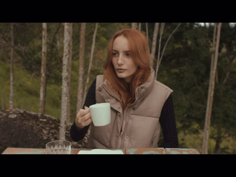 Cover image for Directing