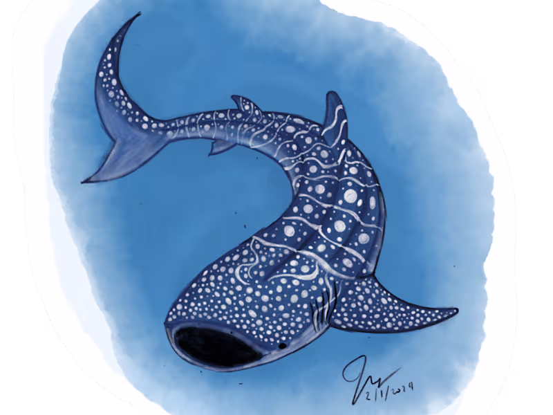 Cover image for Illustrations